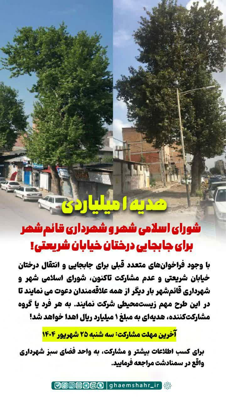 هدیه 1 میلیاردی شورای اسلامی شهر و شهرداری قائم شهر برای جابجایی درختان خیابان شریعتی